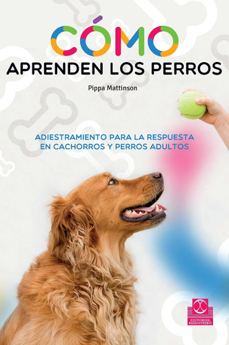 Cómo Aprenden Los Perros, De Mattinson, Pippa.. Editorial Paidotribo, Tapa Blanda En Español, 2014
