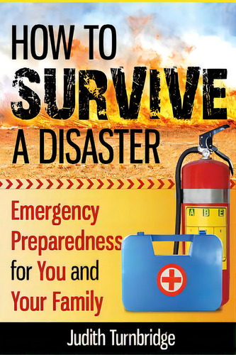 How To Survive A Disaster: Emergency Preparedness For You And Your Family, De Turnbridge, Judith. Editorial Createspace, Tapa Blanda En Inglés