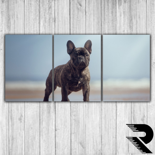 Cuadro De Perro Bull Dog Frances | 86 | Triptico