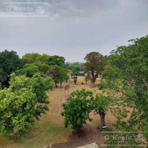 Campo En Venta De 80 Has En Gualeguay Entre Rios, Casco Histórico - Turismo Rural