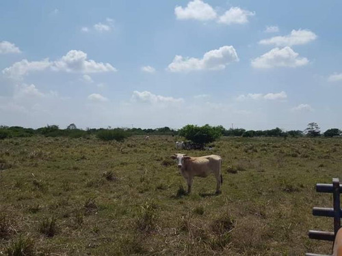 Rancho En Venta Fernando López Arias