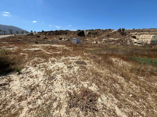 Las Tacas Sitio 6.000m2 Subdividible