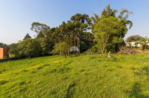 Imagem 11 de 21 de Terreno - Residencial - 930260