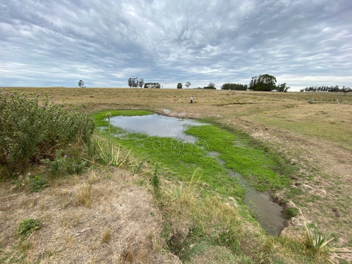 Imagen 4 de 30 de Negocio!! Antes U$s 320000, Hoy Liquida En U$s 185000 - Jose Ignacio José Ignacio