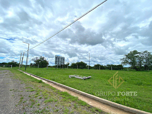 Imagen 5 de 26 de Terreno A La Venta En La Ernestina