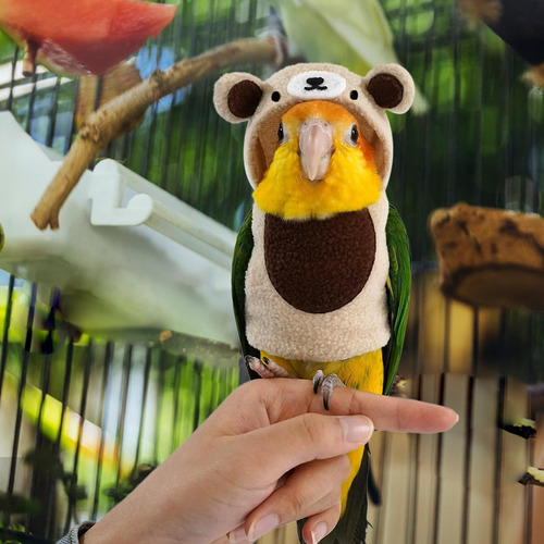 Arnés Para Pájaros Para Cacatúa Disfraz De Cacatúa Paño Lind