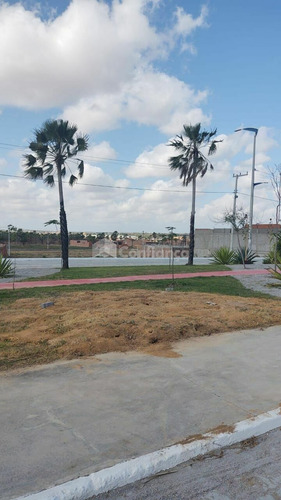 Imagem 3 de 10 de Lote À Venda No Centro - Pacatuba/ce - 566