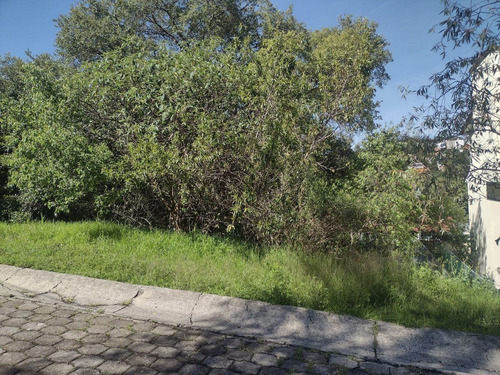 Imagen 2 de 4 de Venta Terreno En Sayavedra