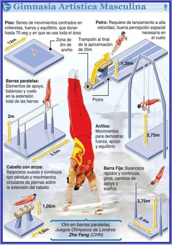 Gimnasia Artística - Deporte Olímpico - Lámina 45x30 Cm.