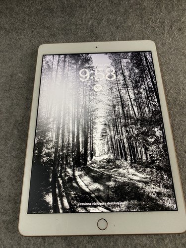 iPad 10.2 Pulgadas  | 64 Gb | 7ma | Rose Gold | A2197