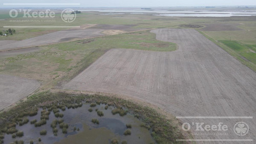 Imagen 2 de 13 de Campo En Venta De 90 Has En Saladillo Mixto