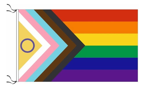 Bandera Lgbtiqa+ Orgullo Inclusivo Lgbt 45 X 70 Cm