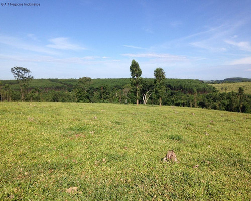 Imagem 11 de 27 de Fazenda À Venda - Espírito Santo Do Pinhal/sp - Fa00083 - 68533662