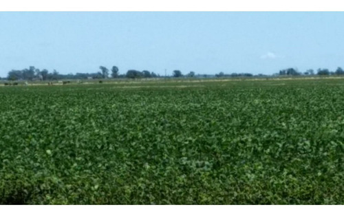 Imagen 1 de 3 de Vendo Campo Próximo A Bell Ville.