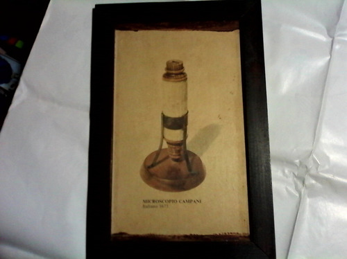 Microscopio Campani -italiano-1673-lamina Mas Marco-antiguo- (Usado)