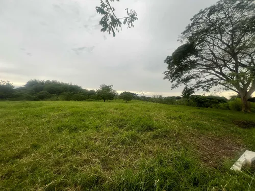 Lote Proindiviso Morelia