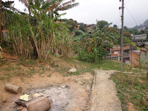 Imagem 4 de 4 de Terreno - Te00005 - 3314977