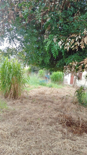 Imagem 3 de 25 de Terreno De Aprox. 2.572,12 M² Disponível Para Venda, No Alto Boqueirão. - Te00143 - 70702216