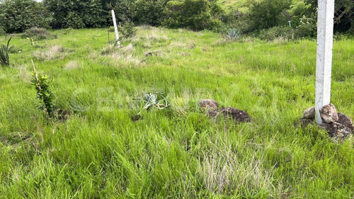 Terreno En Venta Santa Ursula, Temixco, Morelos
