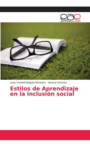 Libro: Estilos De Aprendizaje En La Inclusión Social (spanis
