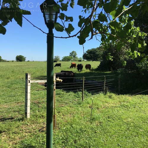 Imagen 28 de 30 de Venta - Campo En Cardales - Bayugar Negocios Inmobiliarios