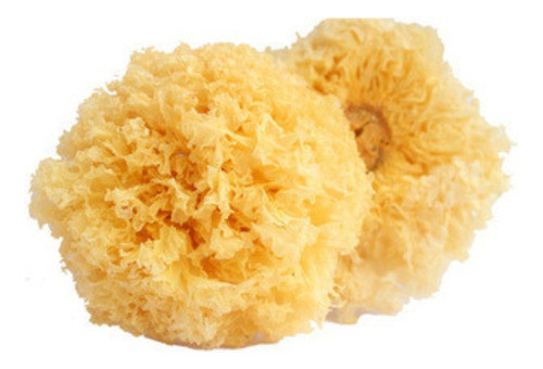 Hongo Nieve (tremella) Deshidratado 100grs , Agronewen