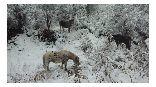 Imagen 22 de 30 de Casa A La Vera Del Rio En Las Sierras