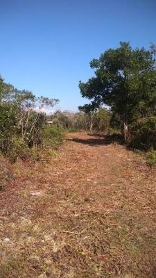 Imagem 2 de 4 de Terreno No Litoral Com 275 M² Em Rua De Terra, Em Itanhaém
