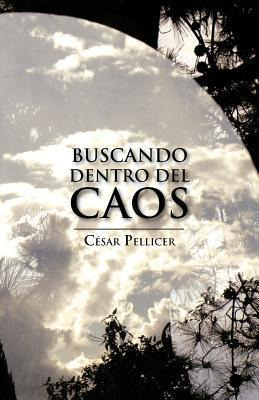 Libro Buscando Dentro Del Caos - C Sar Pellicer