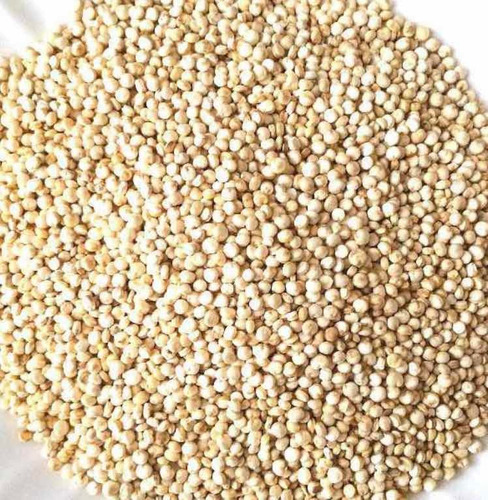 Semillas De Quinoa Bulto X 5 Kg X Mayor