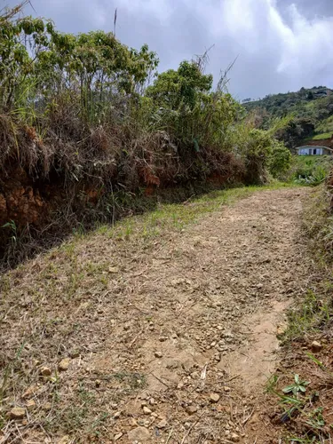 Se Vende Lote En Vereda La Frisola A 2 Km De La Salida Del Tunel Lado Occidente
