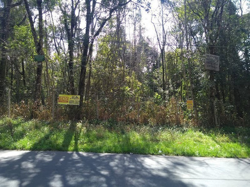 Imagem 2 de 5 de Terreno À Venda, 4180 M² Por R$ 1.000.000,00 - Abranches - Curitiba/pr - Te0125