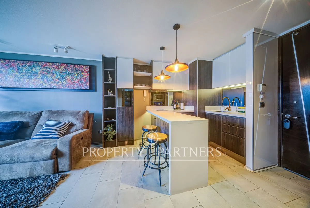 Imagen 2 de 30 de Arriendo Providencia Completamente Remodelado Pedr...