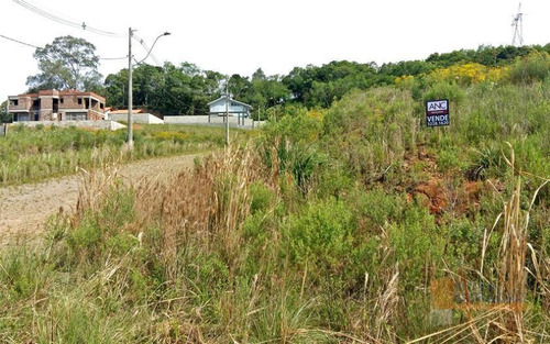Imagem 3 de 3 de Terreno À Venda, 486 M² Por R$ 185.000,00 - Monte Bérico - Caxias Do Sul/rs - Te0157