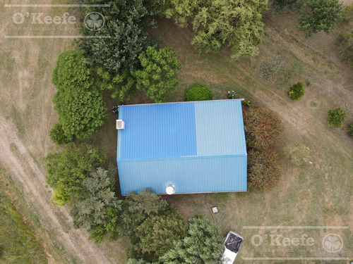 Imagen 17 de 22 de Campo Mixto En Venta En Chivilcoy 60 % Agrícola - Armado