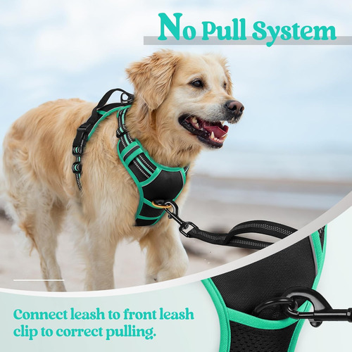Arnés Para Perro Rabbitgoo No Pull Ajustable Con 2 Clips M