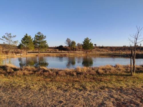 Terreno En Venta En Los Reflejos, Tapalpa