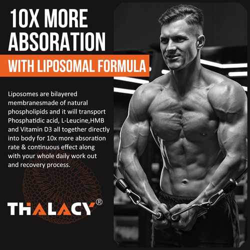 2000 Mg De Ácido Fosfatídico Liposomal (pa) | Muscle De De Y