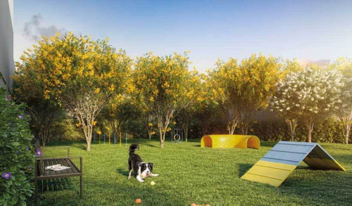 Imagem 29 de 30 de Apartamento - Ap10475 - 69474543