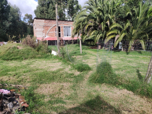 Se Vende Dos Propiedades En Un Mismo Padrón De 6000 Metros