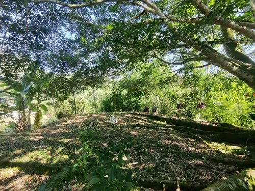 Finca En Barbosa