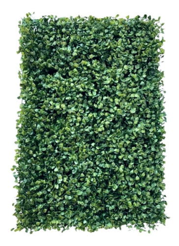 Kit 50 Placa De Buchinho 40x60 Jardim Vertical Artificial