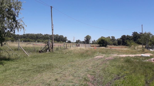 Imagen 2 de 7 de Terreno En Venta En Ignacio Correas