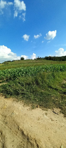 Imagem 5 de 21 de 03o- Inacreditável Terreno Em Uma Cidade Boa Pra Você