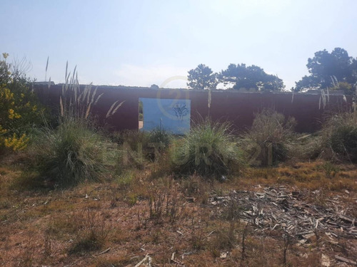 Imagen 3 de 7 de Excelente Terreno En Zona Bosque, Punta Del Diablo