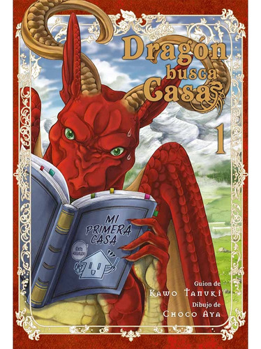 Dragon Busca Casa 1 - Kawo Tanuki