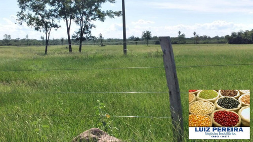 Fazenda À Venda Em Porto Murtinho - Ms - De 1.917 Hectares (pecuária) - 1635