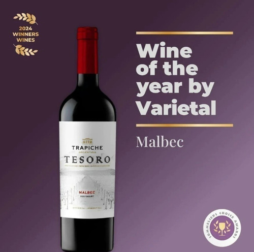 Vino Tinto Trapiche Tesoro Malbec Mendoza Caja X6