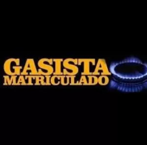 Gasista Matriculado. Metrogas. El Mejor Presupuesto.