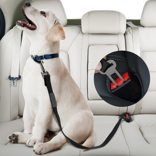 Forro Protector De Asientos Cama Para Perros Con Cinturón